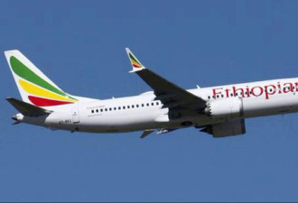 埃航737MAX空难疑因撞鸟造成，波音股价上弹