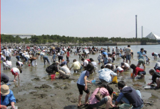 日本居民怒了！陆客埋头狂挖野牡蛎，满地是壳