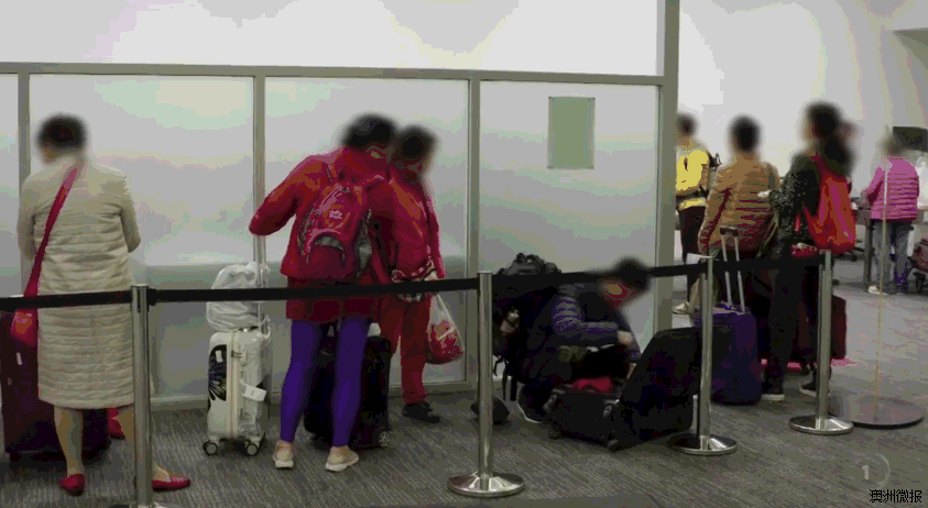 中国大妈旅行团被海关全扣，在加拿大太常见了