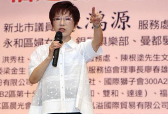 洪秀柱:中国国民党若没了，台湾也就没了希望
