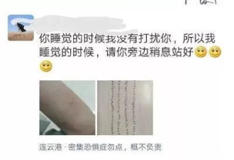 他一晚上干掉120只蚊子！网友笑了：作风过硬