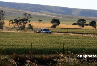 中国男子持旅游签赴澳 疑在农场打工不幸摔死