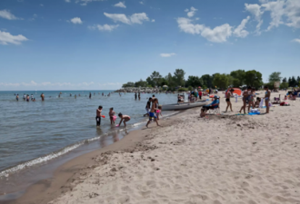 夏天来了！6月1日多伦多5大沙滩开放游泳区域