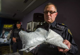 加拿大皇家骑警求助中国 欲斩断毒品供应链