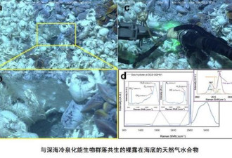 中国科学家首次在南海海域发现裸露&quot;可燃冰&quot;