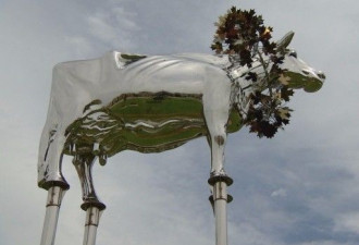万锦牛雕塑终于要走了，市议会投票通过逐客令