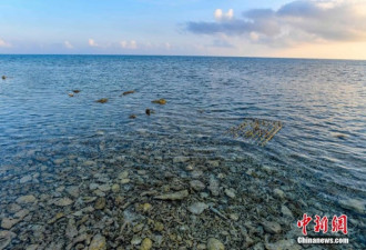 直击中国南沙鸭公岛：这是没有一粒沙子的海岛