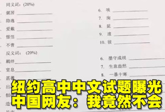纽约高中中文试题曝光 中国网友：我竟不会！