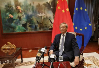 中国驻欧盟使团团长：不签署任何不平等协议