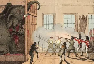 毛骨悚然的百年前照片：被吊死的大象做了什么