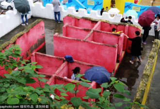 重庆景区设露天厕所 女游客撑伞如厕 这画风...