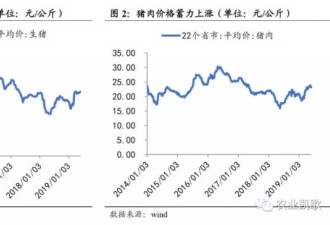 超级猪周期这次真来了？将开启史诗级金猪行情