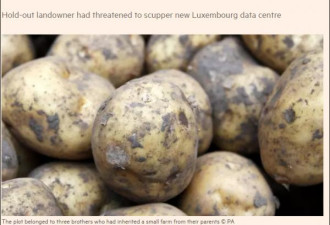 为获谷歌投资卢森堡终于赶走种土豆的&quot;钉子户&quot;