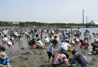 中国游客疯狂挖生蚝，日本人不吃太浪费了