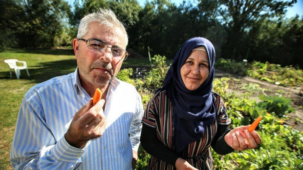 Abdulhamid Abdullah and Dilshah Ahmad have grown carrots, cucumbers, eggplant and other vegetables in a community garden behind their apartment building.