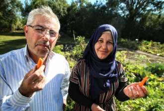 安省叙利亚难民家庭自种蔬果 回馈社区