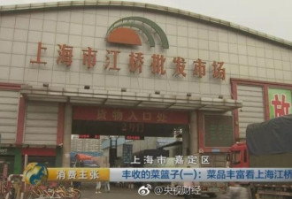 靠卖西红柿在上海买三套房 每年毛利达一亿元