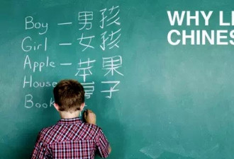 移民父母们：孩子还在努力学中文吗？