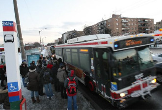 多伦多TTC巴士线路排名 高峰段最挤的是这条线