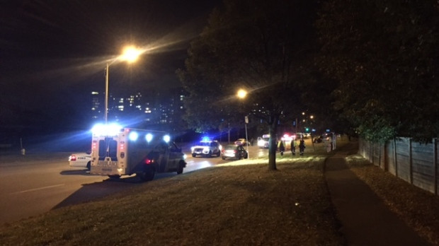 Pedestrian struck