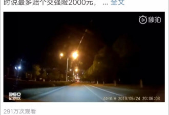女子驾车撞狗被判主责网友炸了 改判后争议仍在