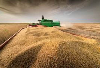 进口美国大豆“腰斩”，国内供需平衡怎么办？