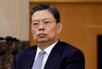 习最重要的助手之一 赵乐际仕途空间巨大