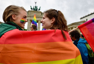 德默克尔投反对票，但德国同性婚姻法案终生效