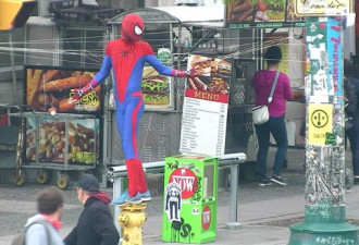 多伦多市中心惊现蜘蛛侠在织网 路上蜘蛛网密布