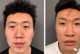 惨重代价，中国留学生遣返，学费全在牢里交了
