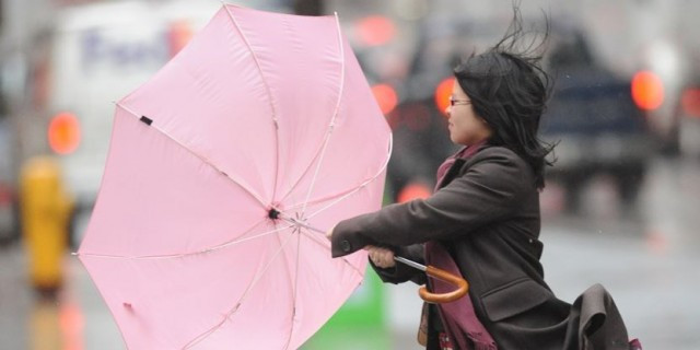 Windy weather