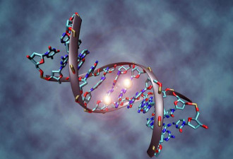 未来学家：2050年人类可购买DNA创造完美婴儿