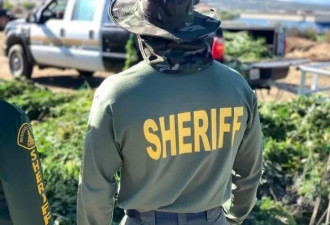 华裔毒贩盘踞南加“金三角” 警方缴近2亿毒品