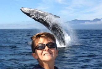 加拿大BC省11岁男孩拍到鲸鱼绝照