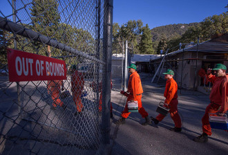 美4000囚犯参与加州森林灭火 一人受伤一人逃跑