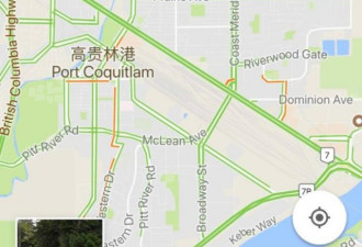 惊悚！大温黑熊猛撞私家车！这才是加拿大…
