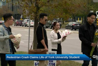 痛心！多伦多约克大学中国女留学生被撞身亡