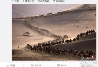 国庆假期敦煌3天接待11万游客，骆驼“累趴了”