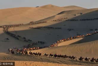 国庆假期敦煌3天接待11万游客，骆驼“累趴了”