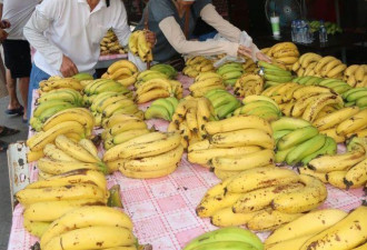 台湾香蕉滞销 台军为救市连吃两月