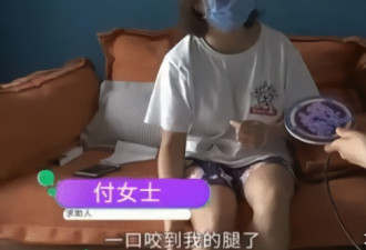 被咬索赔不成 女子无奈与大狗撕咬在一起