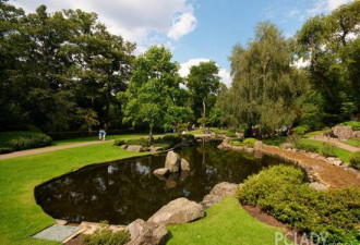 城市的绿洲 探访伦敦的五大秘密花园
