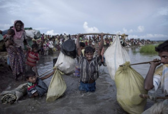 逃杀！涌入孟加拉的罗兴亚难民突然激增