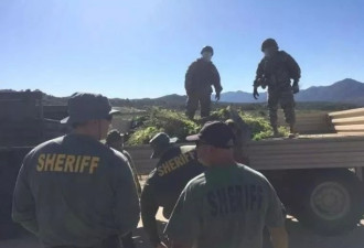 700警察扫荡大麻山，只剩还没听到风声的亚裔