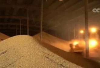中国停进美国黄豆 今年前4月降70% 贸战后新低