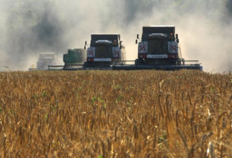 为种大豆，中国企业宣布，将要在俄罗斯租地种