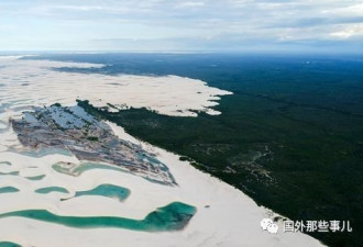 巴西沙漠中凭空出现成千上万个湖 有人游泳