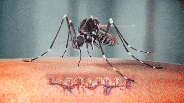 蚊子经很可怕，这些吸血昆虫让你感受真正恐惧