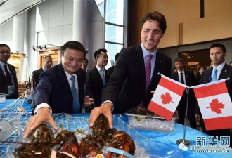 第三届加中电子商务峰会本月底将在万锦举行