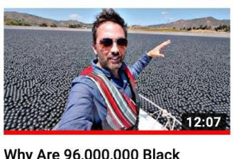 等了6年，加州9600万个黑球的真相终于揭开